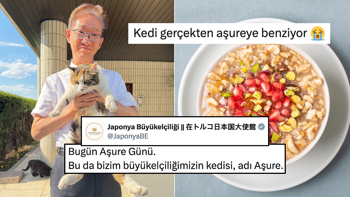 Japonya Büyükelçiliği Kedileri Aşure'yi Paylaştı: İsmi Cuk Oturmuş!