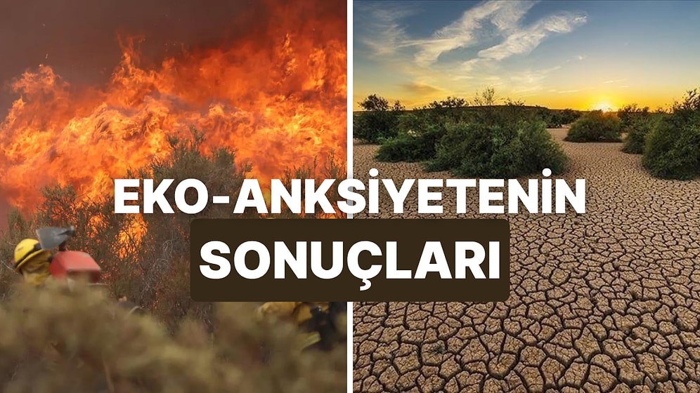 İklimin Psikolojiye Etkisi: Türkiye'de Eko-Anksiyete Yaşadığınızın 10 Kanıtı