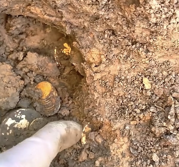 "Büyük Kentucky Hazinesi"ni asıl eşsiz kılan unsur, koleksiyonun yaklaşık %95'ini oluşturan 700'den fazla altın sikke.