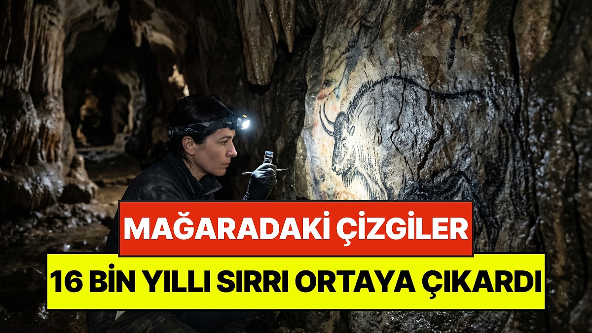 Mağaradaki Siyah Çizgilerin Peşine Düştüler: 16 Bin Yıllık Gerçeğe Ulaştılar
