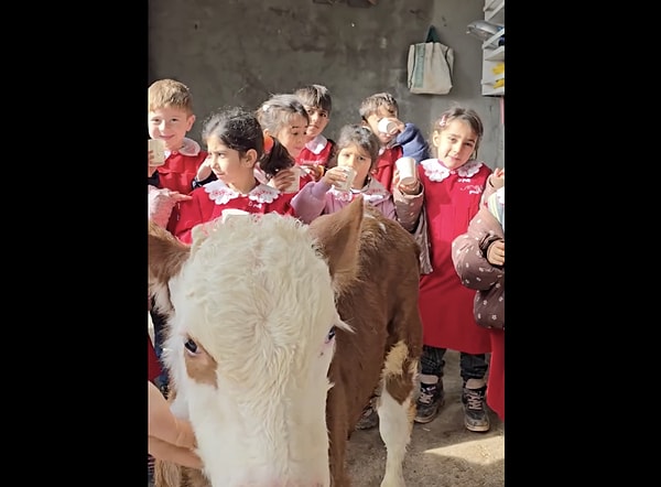 Bizi de götürür müsünüz?
