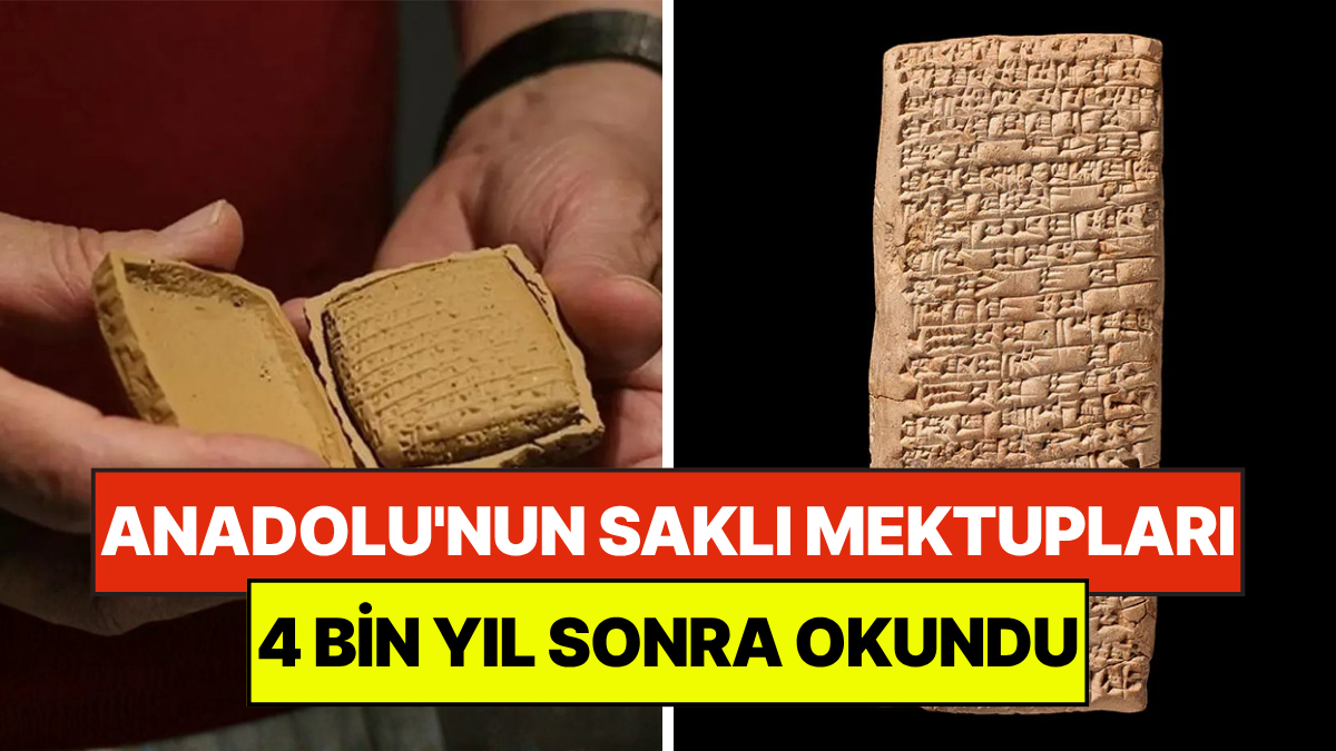s-61a1d4e06c3eb6e1c72e2cba0ed4b028d94d8ff2.jpg
