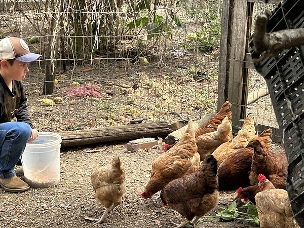 Aile büyüklerinin rehberliğinde başlayan yumurta üretimi, elde edilen gelirlerin sürekli işe yatırılmasıyla kurumsal bir yapıya kavuştu.
