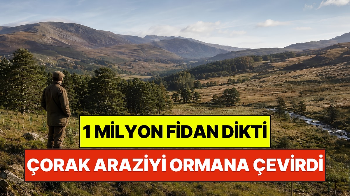 Kimsenin Yüzüne Bakmadığı Çorak Araziyi Cennete Çevirdi: Tek Başına 1 Milyon Fidan Dikti