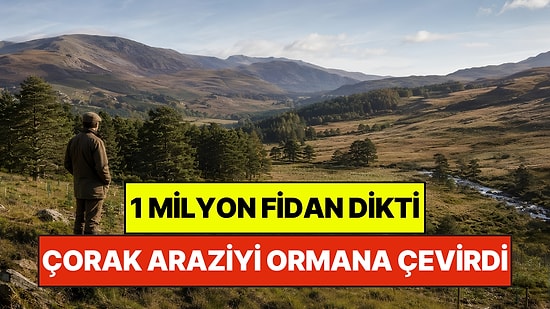 Kimsenin Yüzüne Bakmadığı Çorak Araziyi Cennete Çevirdi: Tek Başına 1 Milyon Fidan Dikti