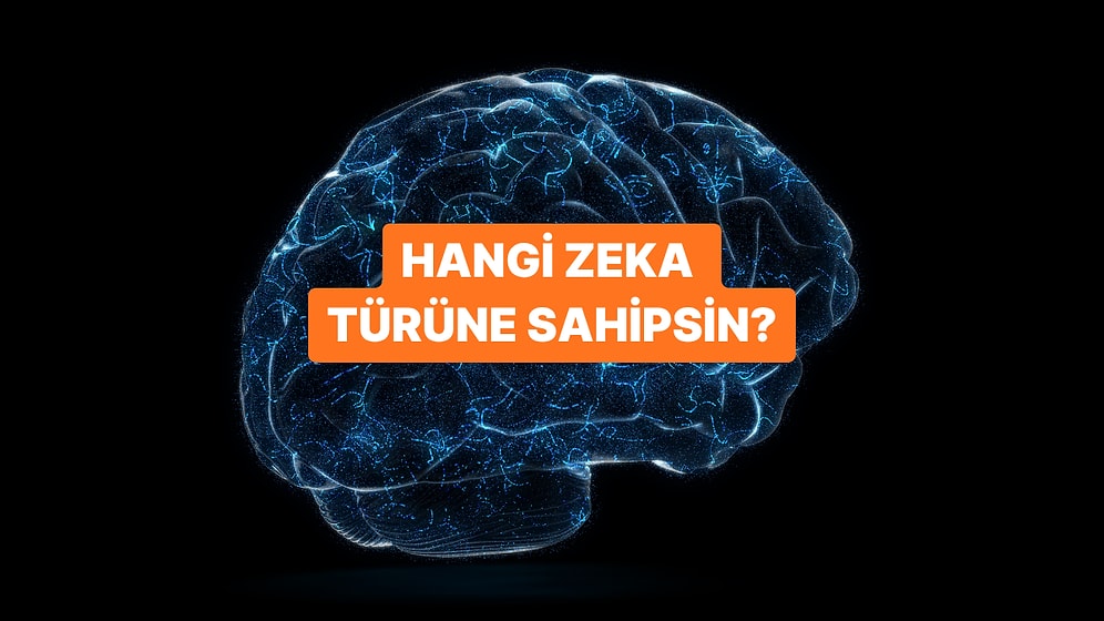 Verdiğin Cevaplar Hangi Zeka Türüne Sahip Olduğunu Söylüyor!