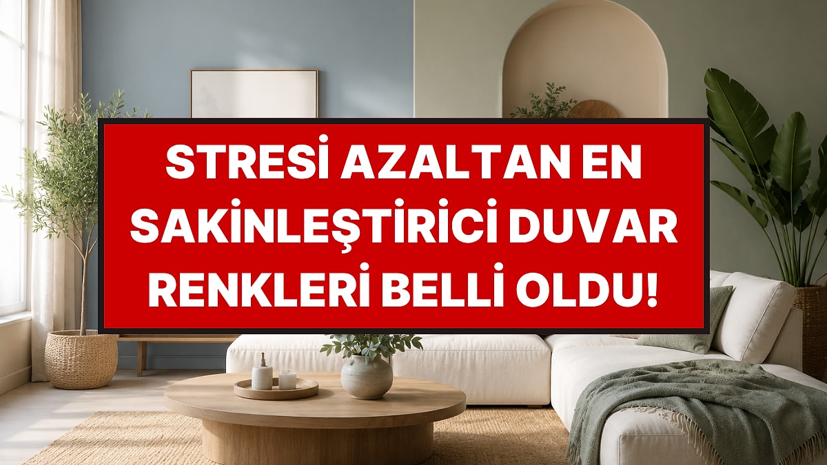 Bu Duvar Renkleri Evde Kaygıyı, Stresi Azaltıyor, Uykuyu Kolaylaştırıyor