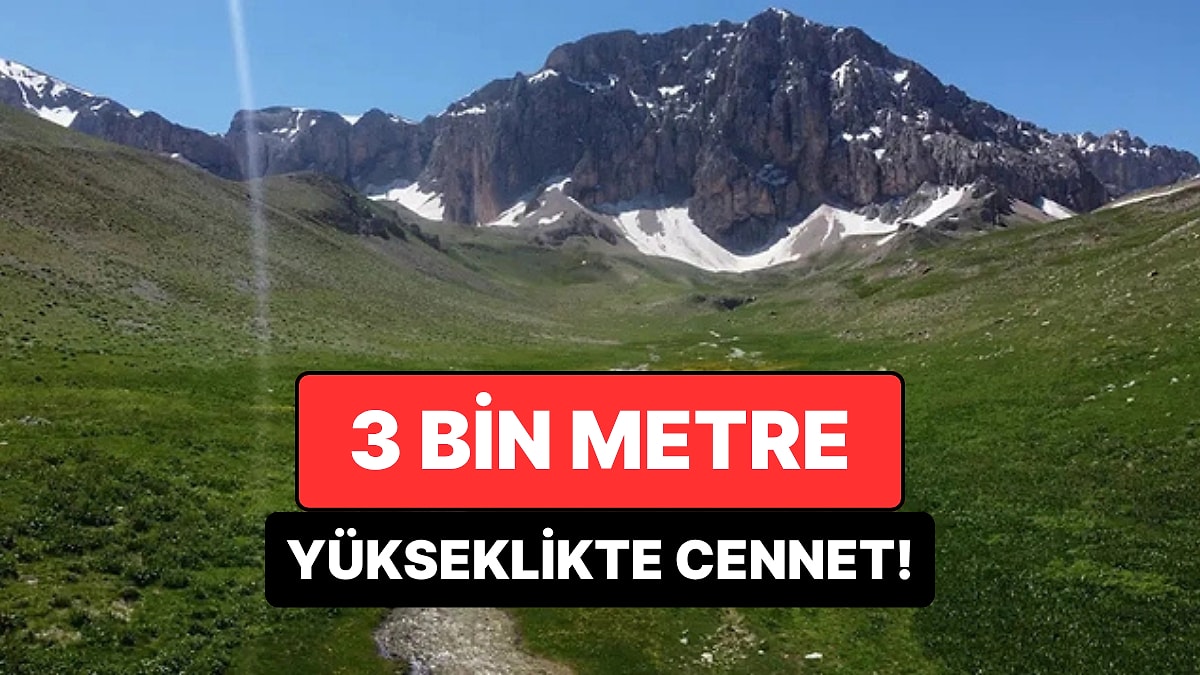 3 Bin Metrede Eşsiz Manzara: Doğaseverlerin Yeni Gözdesi Burası Oldu