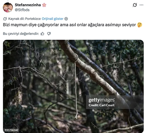 Brezilyalılar kendilerine maymun diyen Japonlara intihar vakalarıyla ünlenen ormanla yanıt verdi.