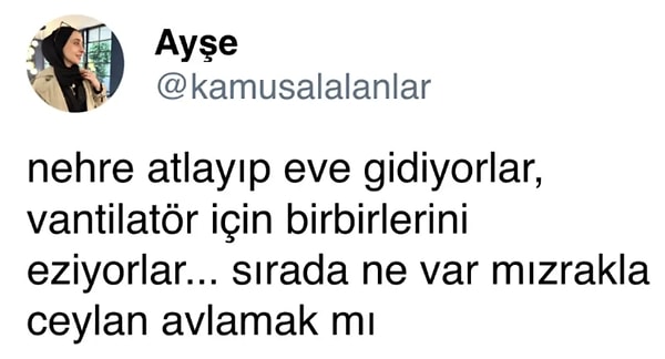 👇