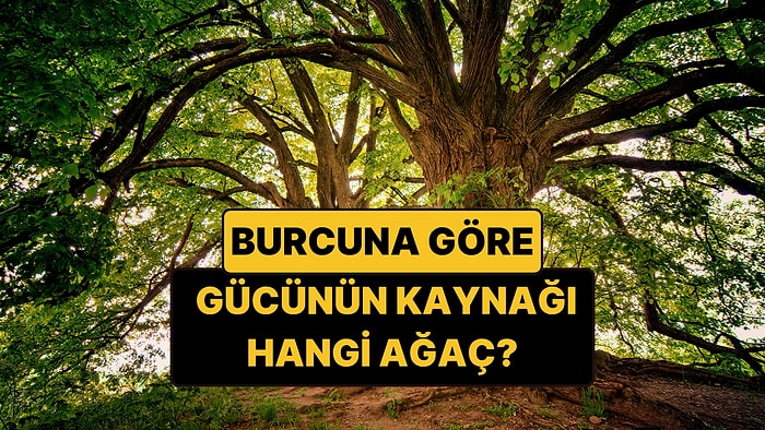 Astrologlar Açıkladı: Burcunuza Göre Güç Aldığınız Ağacı Keşfedin!