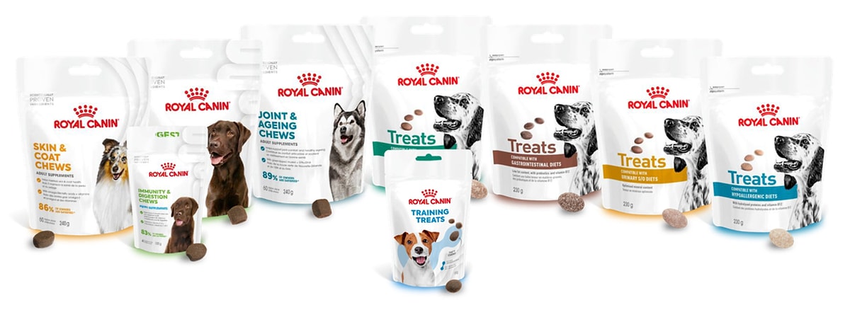 Royal Canin’den Köpeklerin Özel İhtiyaçlarına Destek: Fonksiyonel Beslenme Destekli Tamamlayıcı Ödül Mamaları