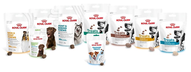 Royal Canin’den Köpeklerin Özel İhtiyaçlarına Destek: Fonksiyonel Beslenme Destekli Tamamlayıcı Ödül Mamaları
