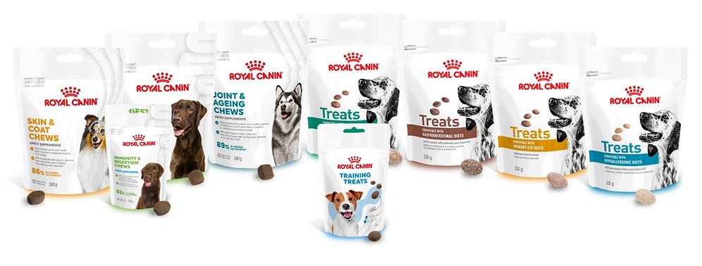 Royal Canin’den Köpeklerin Özel İhtiyaçlarına Destek: Fonksiyonel Beslenme Destekli Tamamlayıcı Ödül Mamaları