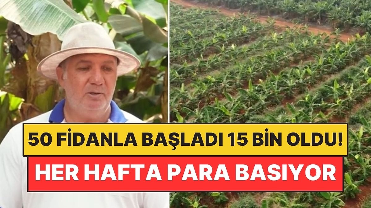 50 Fidanla Başladı, 15 Bin Ağaca Ulaştı: Her Hafta Hasat Alıp Resmen Para Basıyor!
