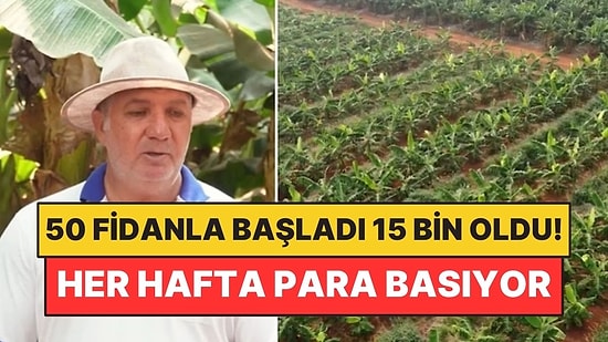 50 Fidanla Başladı, 15 Bin Ağaca Ulaştı: Her Hafta Hasat Alıp Resmen Para Basıyor!