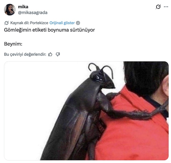 Böyle hissettiriyor.