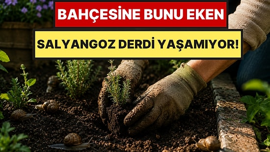 Bahçesine Eken Kurtuluyor: Sümüklü Böcek ve Salyangozları Kaçıran 4 Bitki