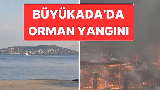 İstanbul’daki Büyükada’da Plajda Başlayan Yangın Ormana Sıçradı