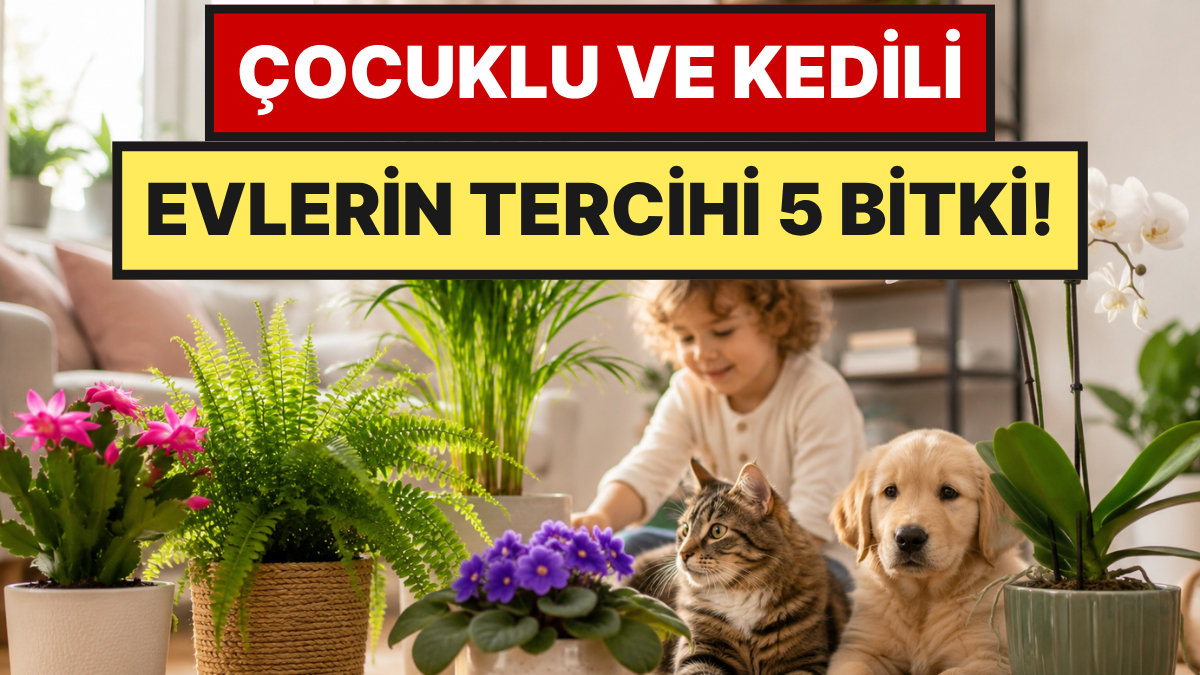 s-54ad57e30df46e972e27f88d8734cd9cfc0b9981.jpg