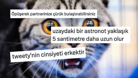 Ortamlardaki Sessizliği Delip Geçen Saçma Bilgiler Hafızanızdan Silinmeyecek