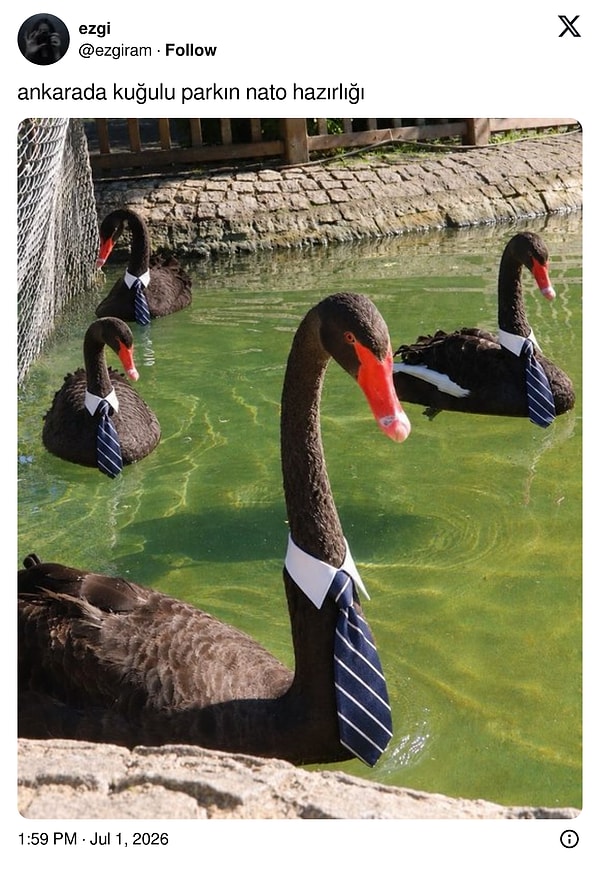 Kuğulu Park bile zirveye hazır!