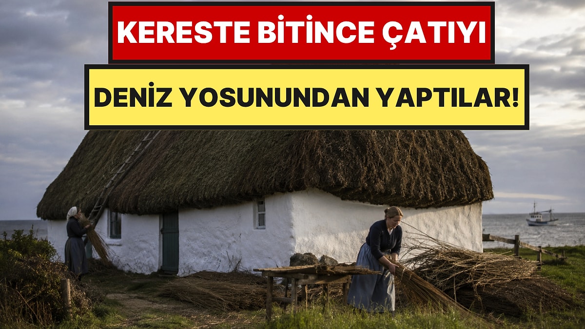 Kereste kıtlığına karşı deniz yosunundan çatı yaptılar, yüzyıllardır ayakta