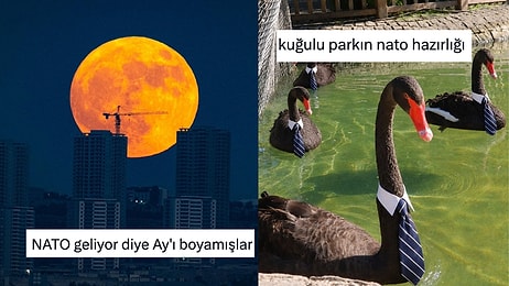Ankara'nın Tatlı NATO Zirvesi Telaşını Diline Dolayarak Güldüren Kişiler