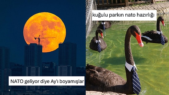 Ankara'nın Tatlı NATO Zirvesi Telaşını Diline Dolayarak Güldüren Kişiler
