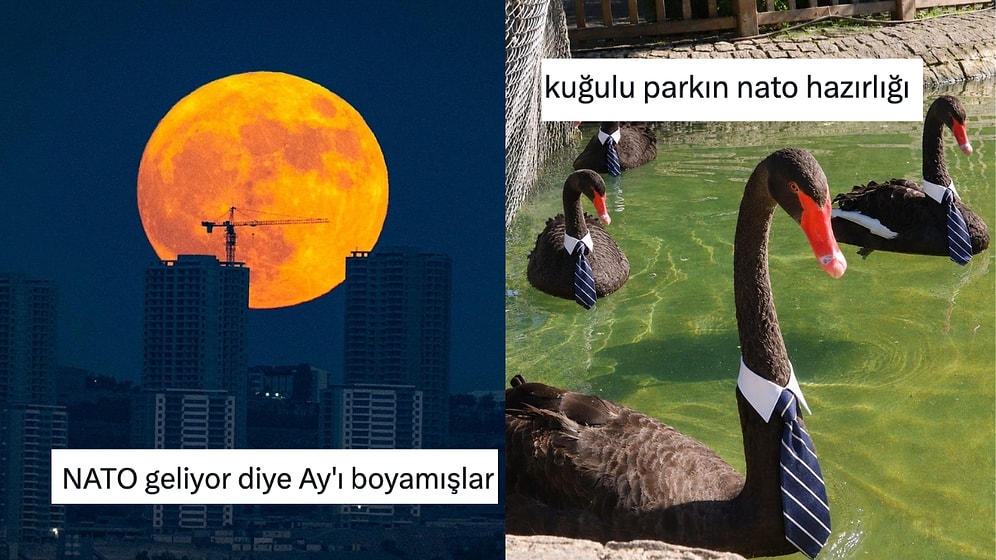 Ankara'nın Tatlı NATO Zirvesi Telaşını Diline Dolayarak Güldüren Kişiler
