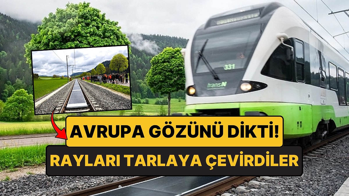 Tren Raylarını Güneş Tarlasına Çevirdiler: 11 Bin Tren Geçti, Biri Bile Kırılmadı