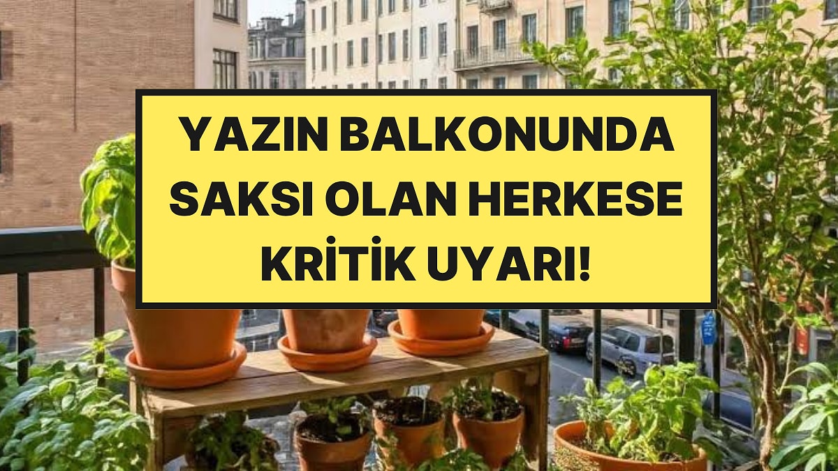 Yazın Balkonunda, Terasında Saksı Bulunduranlar Yandı
