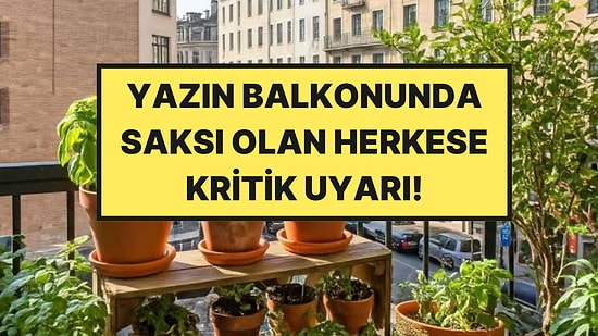 Yazın Balkonunda, Terasında Saksı Bulunduranlar Yandı