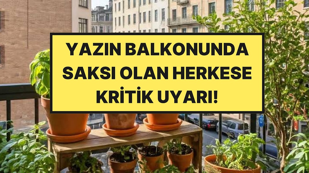 Yazın Balkonunda, Terasında Saksı Bulunduranlar Yandı
