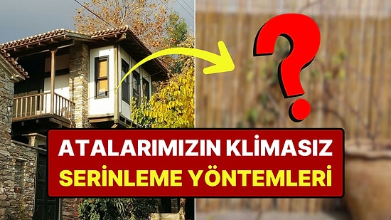 Üstelik Klimaları da Yoktu: Eski İnsanlar Kavurucu Sıcaklarla Nasıl Baş Ediyordu?