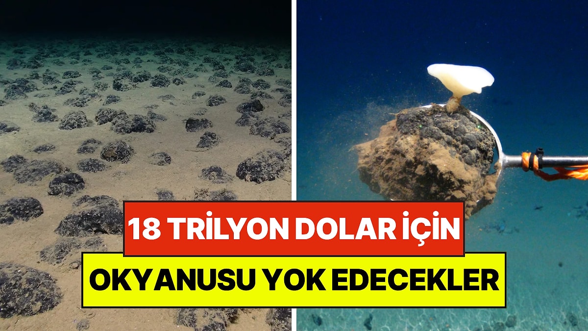 Okyanusun Dibinde 18 Trilyon Dolarlık Maden Rezervi Ülkeleri Karşı Karşıya Getirdi