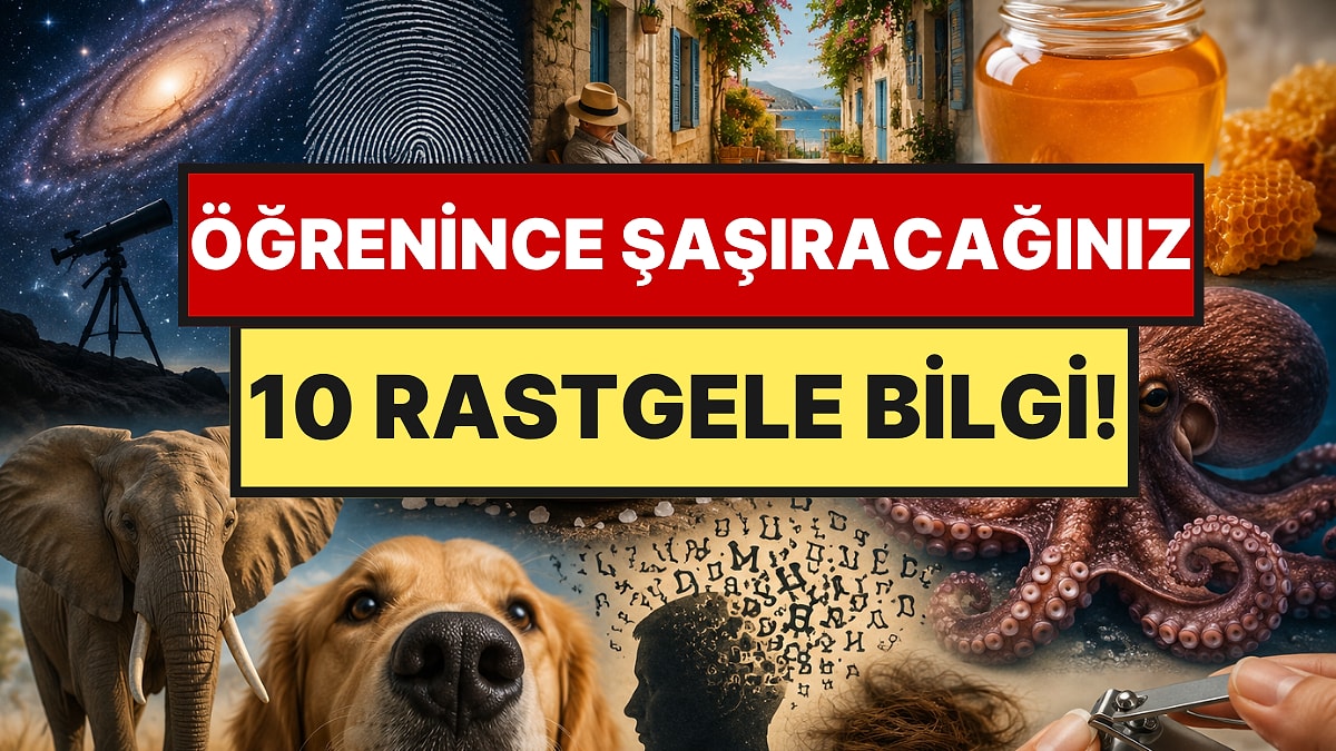 Daha Önce Duymadığınıza Pişman Olacağınız 10 Rastgele Bilgi