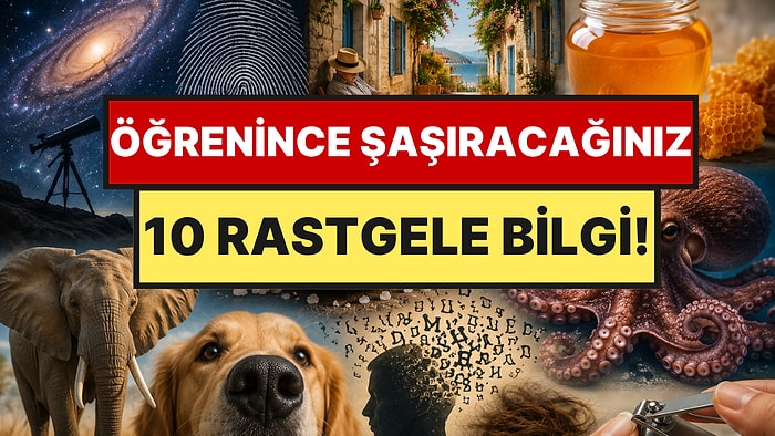 Daha Önce Duymadığınıza Pişman Olacağınız 10 Rastgele Bilgi