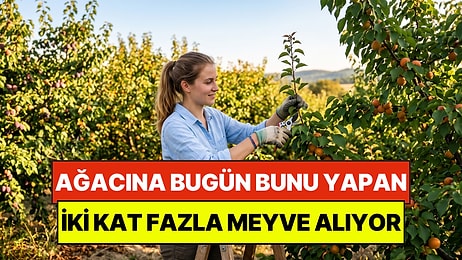 Bahçe Uzmanları Öneriyor: Ağacına Bugün Bunu Yapan Yarın İki Kat Fazla Meyve Alıyor
