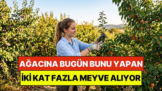 Bahçe Uzmanları Öneriyor: Ağacına Bugün Bunu Yapan Yarın İki Kat Fazla Meyve Alıyor