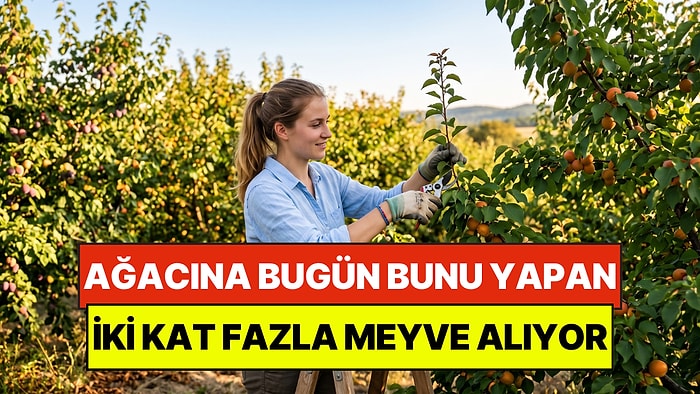 Bahçe Uzmanları Öneriyor: Ağacına Bugün Bunu Yapan Yarın İki Kat Fazla Meyve Alıyor