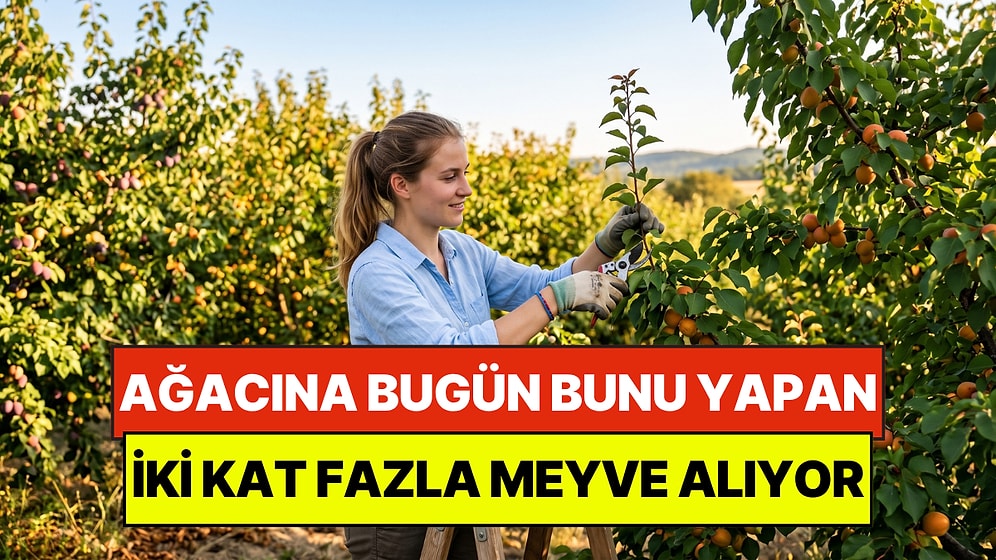 Bahçe Uzmanları Öneriyor: Ağacına Bugün Bunu Yapan Yarın İki Kat Fazla Meyve Alıyor
