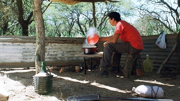 Freedom (2001)