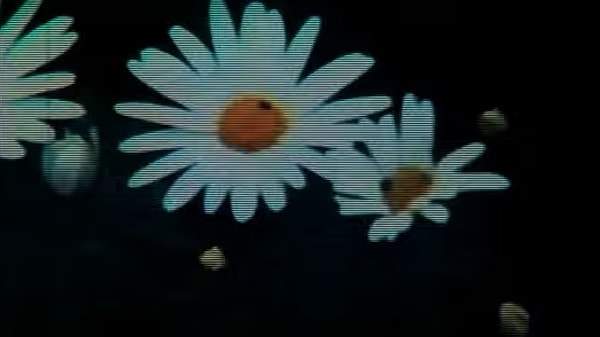 Ofrenda / Offering (1978)