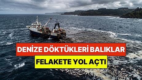 Denize Döktükleri 4 bin 700 Ton Somon Felakete Yol Açtı: Ülke Hala Toparlanamadı