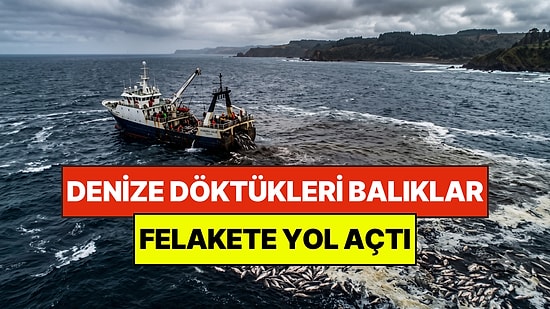 Denize Döktükleri 4 bin 700 Ton Somon Felakete Yol Açtı: Ülke Hala Toparlanamadı