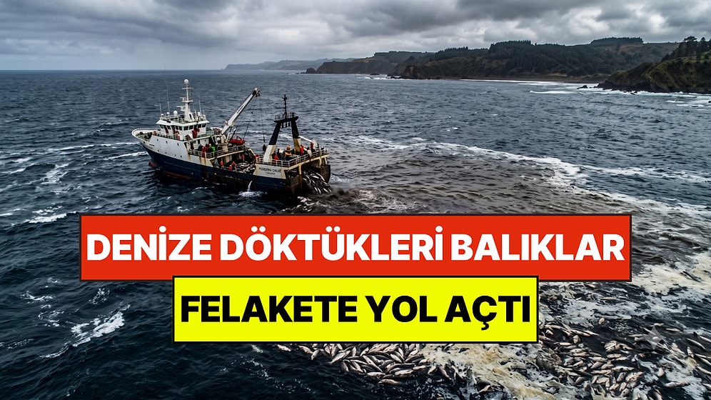 Denize Döktükleri 4 bin 700 Ton Somon Felakete Yol Açtı: Ülke Hala Toparlanamadı
