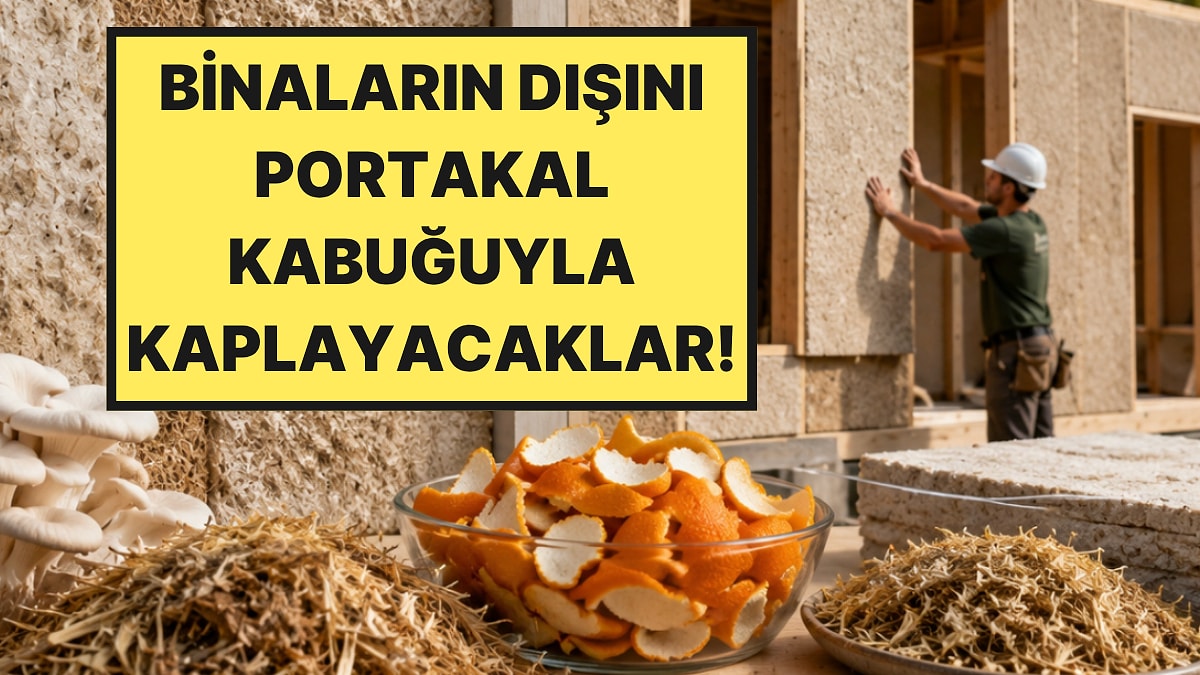 Portakal Kabukları Binaların Dış Cephesinde Kullanılacak