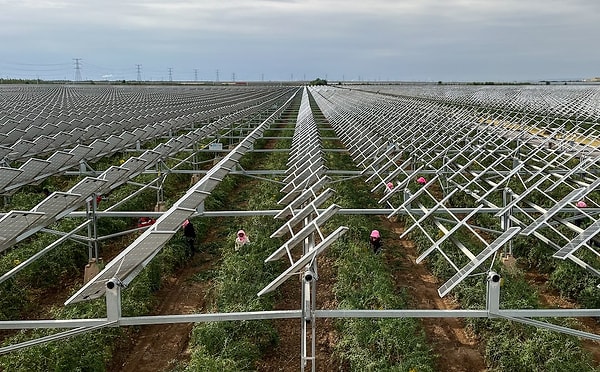 Resmi verilere göre Çin'deki rüzgar ve güneş enerjisi kurulu kapasitesi, Haziran 2025 itibarıyla 1,67 milyar kilovata ulaşarak termik (kömür) enerji üretimini geride bıraktı.