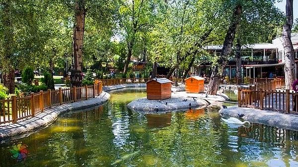 Swan Park and Tunalı Hilmi Avenue
